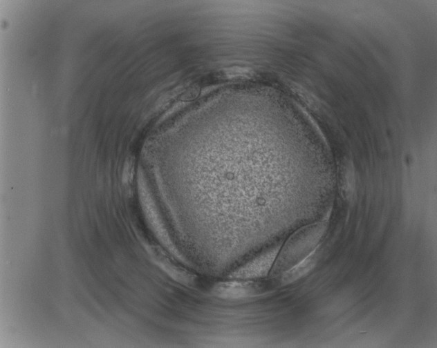 X0000084030082200703022133