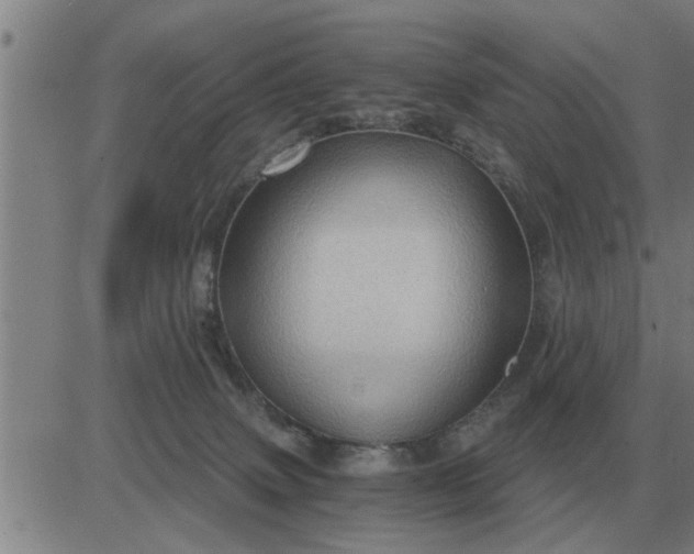 X0000084030083200703022133