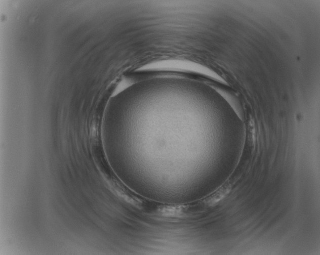 X0000084030084200703022133