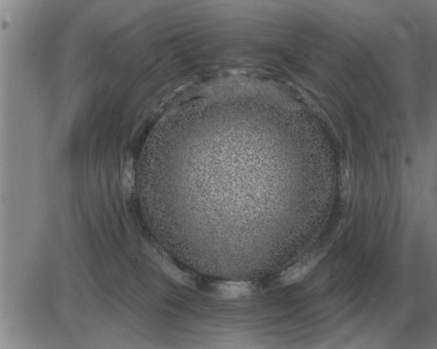 X0000084030085200703022133