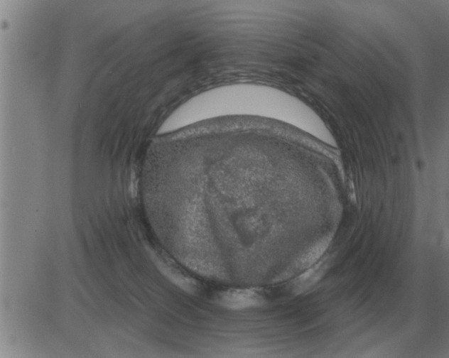 X0000084030086200703022134