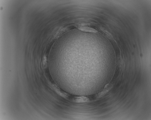 X0000084030087200703022134