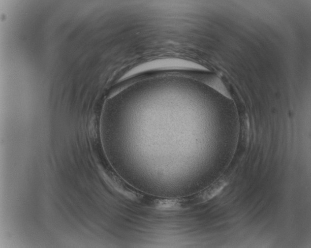 X0000084030088200703022134