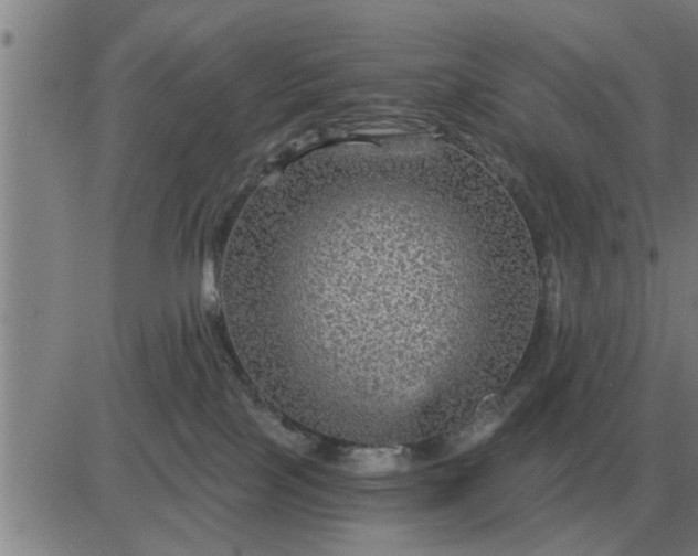 X0000084030089200703022134