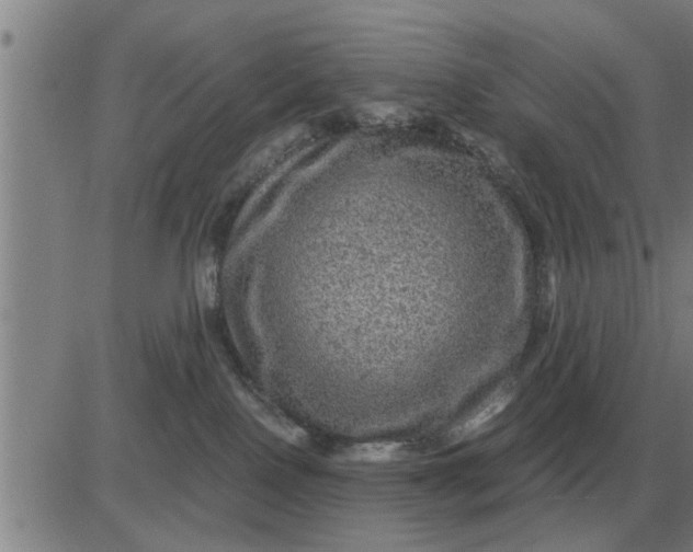 X0000084030090200703022134