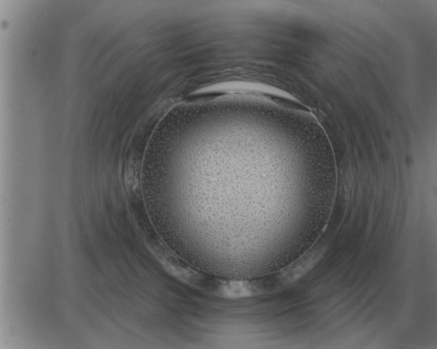 X0000084030091200703022134