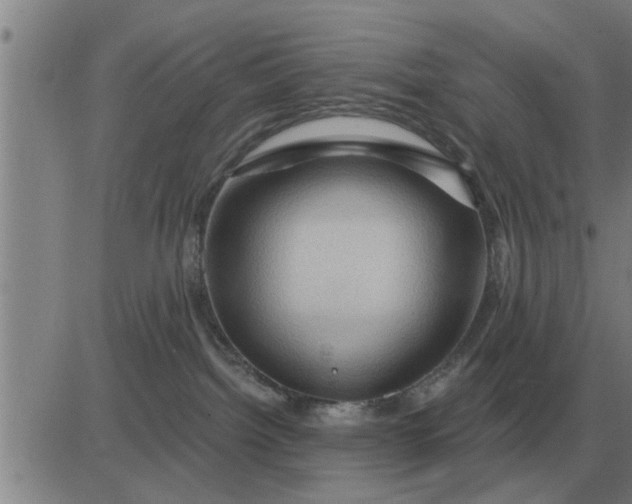 X0000084030092200703022134