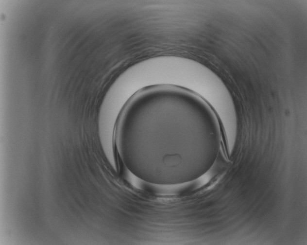 X0000084030095200703022134