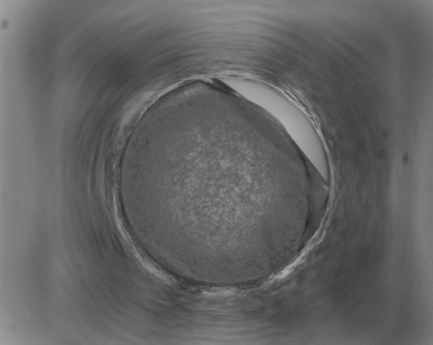 X0000084030097200703022133