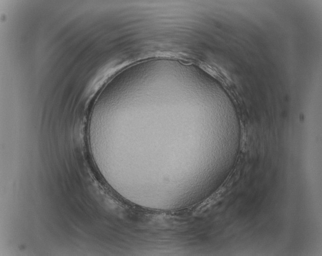 X0000084030098200703022133