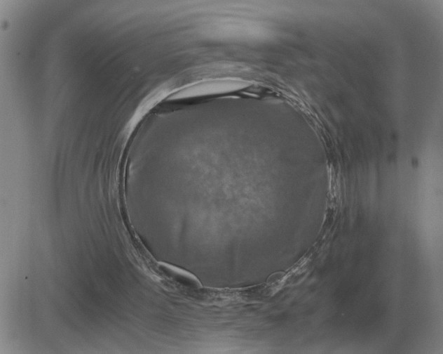 X0000084030099200703022133