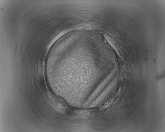 X0000084030100200703022133