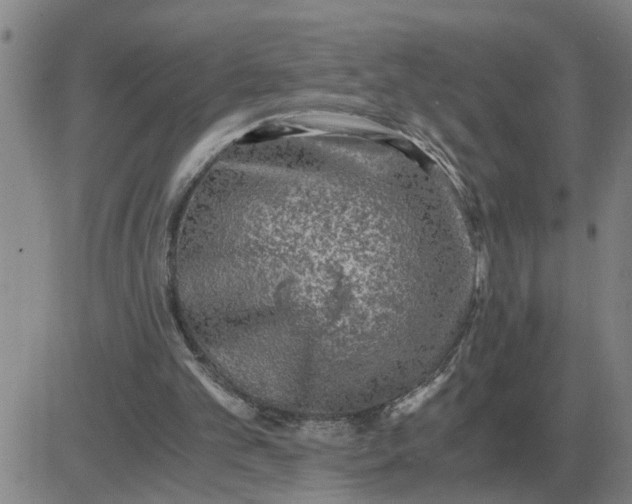 X0000084030101200703022133