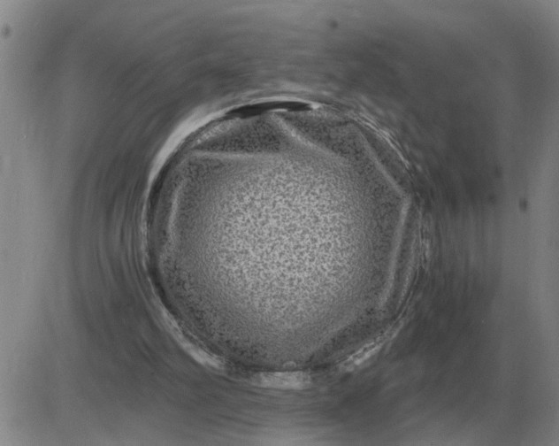 X0000084030102200703022133