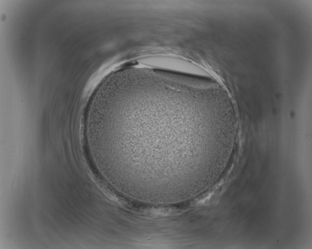 X0000084030103200703022133