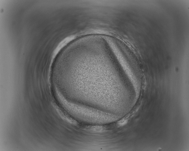 X0000084030104200703022133