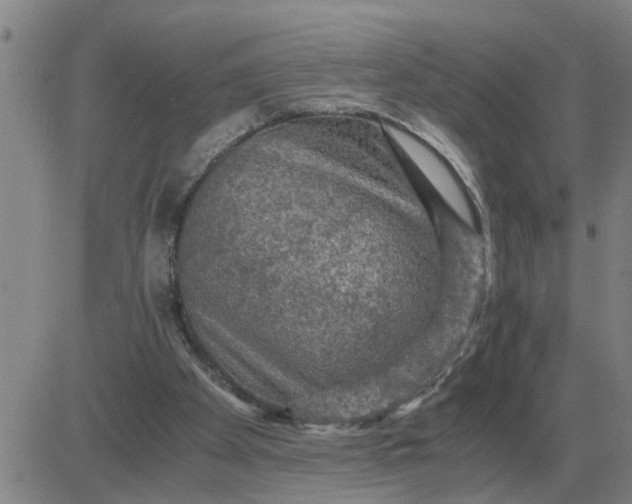 X0000084030105200703022133