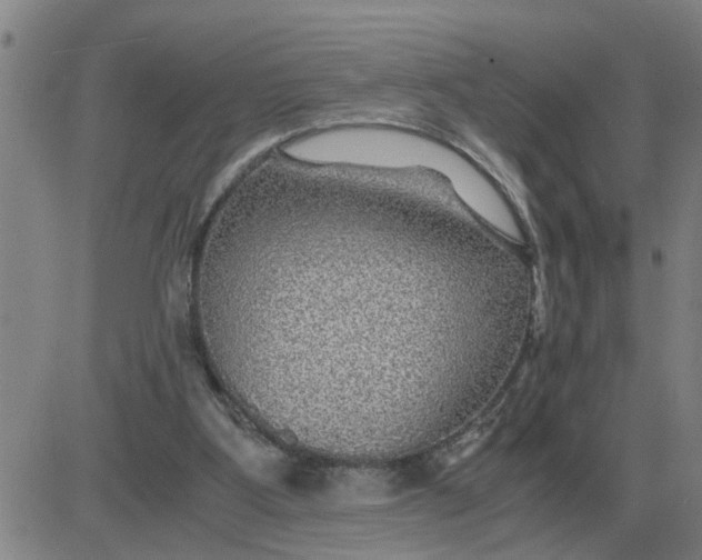 X0000084030107200703022133