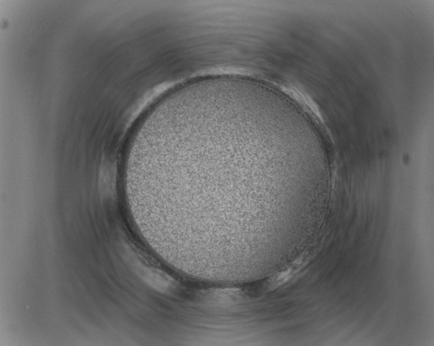 X0000084030108200703022133