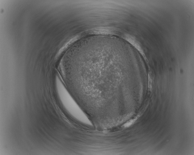 X0000084030109200703022133