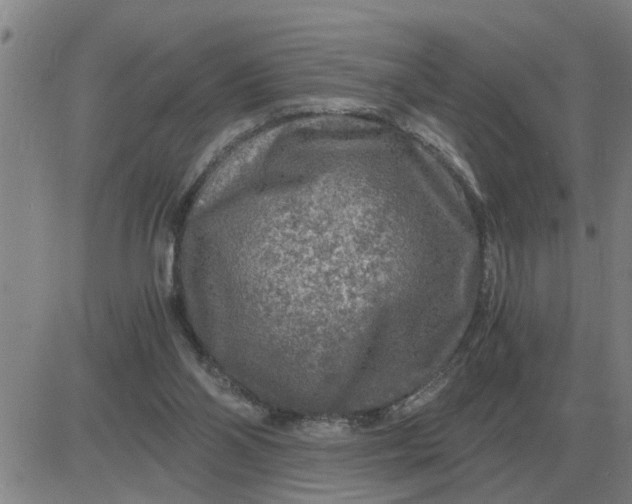 X0000084030110200703022133