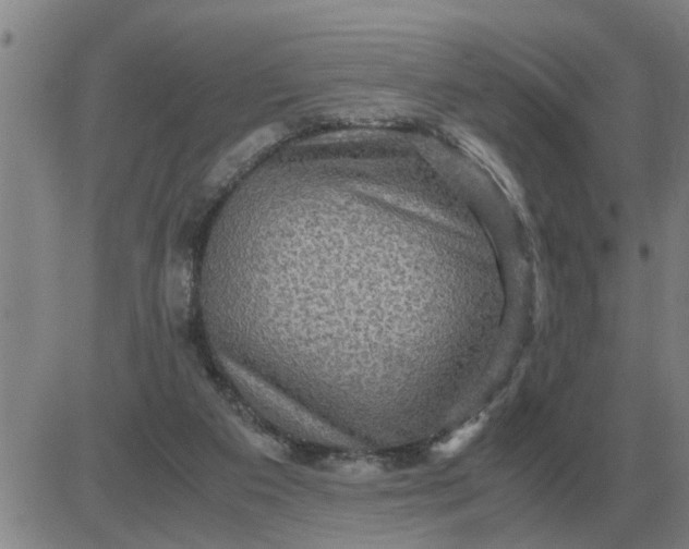 X0000084030113200703022133