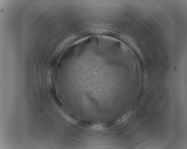 X0000084030114200703022133