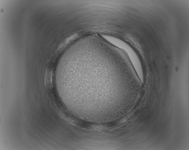 X0000084030115200703022133