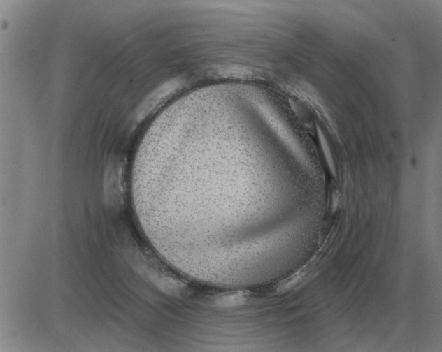 X0000084030116200703022133