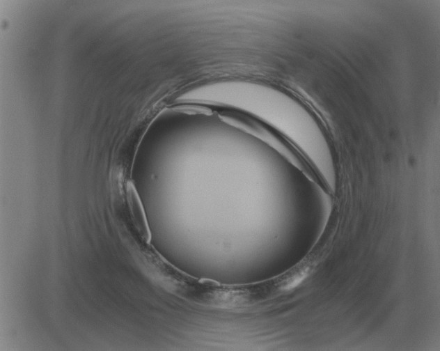 X0000084030117200703022133