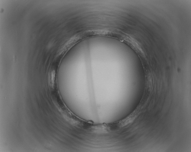 X0000084030118200703022133