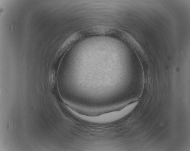 X0000084030119200703022133