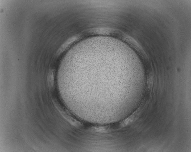 X0000084030120200703022132