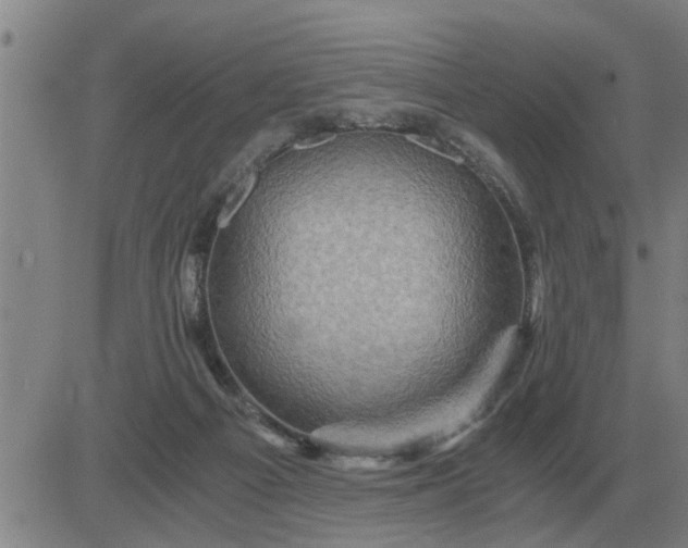 X0000084030121200703022132