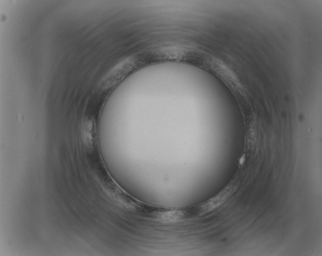 X0000084030122200703022132