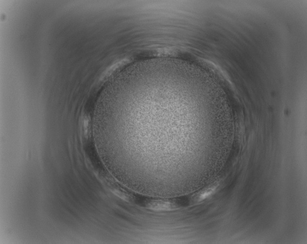 X0000084030123200703022132