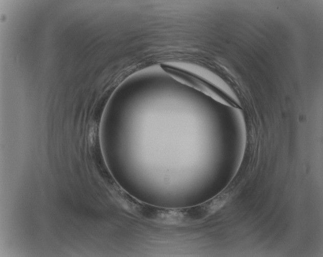 X0000084030125200703022132