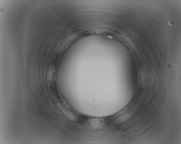 X0000084030126200703022132