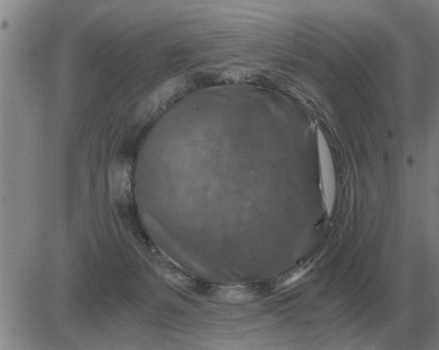 X0000084030127200703022132