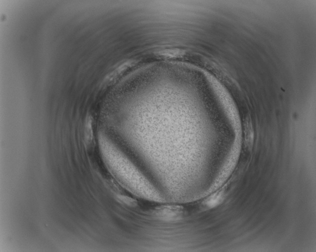 X0000084030128200703022132