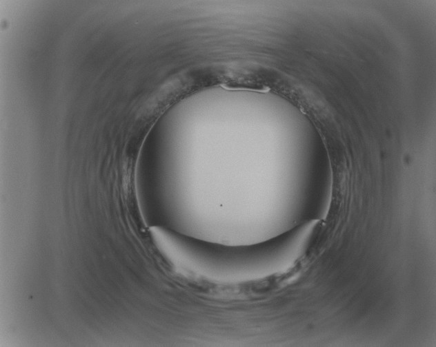 X0000084030129200703022132