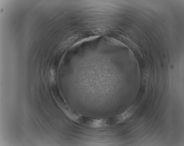 X0000084030130200703022132