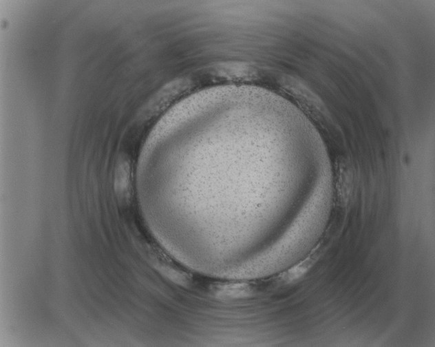 X0000084030132200703022132