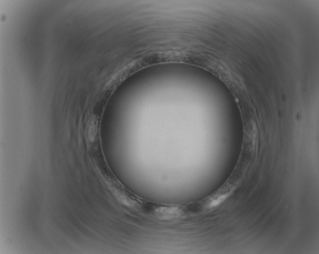 X0000084030133200703022132