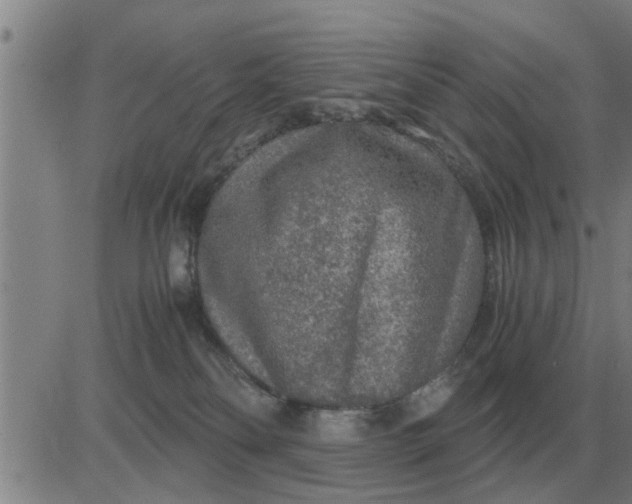 X0000084030134200703022132