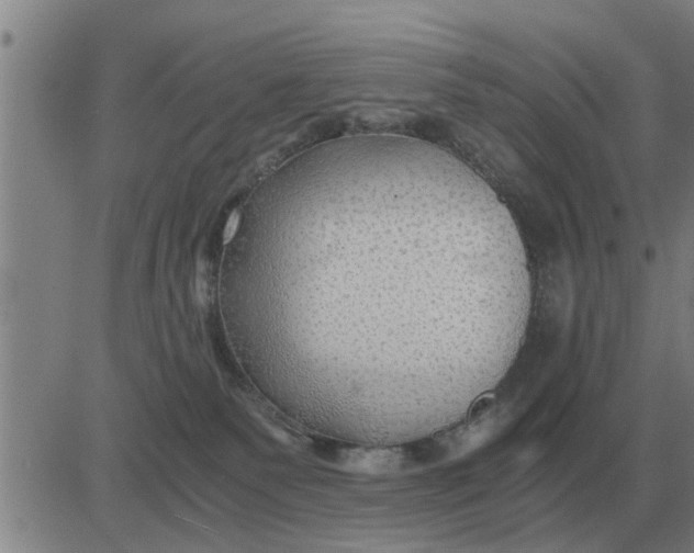 X0000084030135200703022132