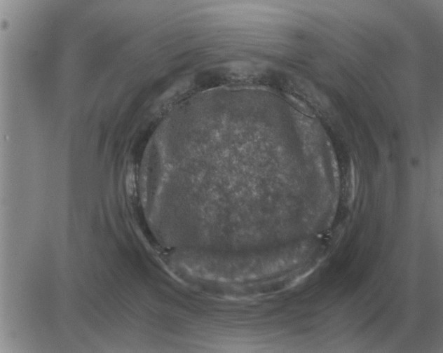 X0000084030137200703022132