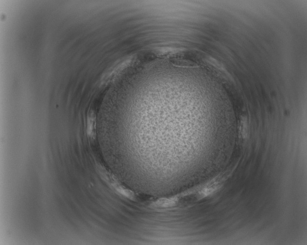 X0000084030138200703022132