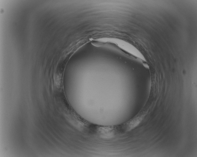 X0000084030139200703022132