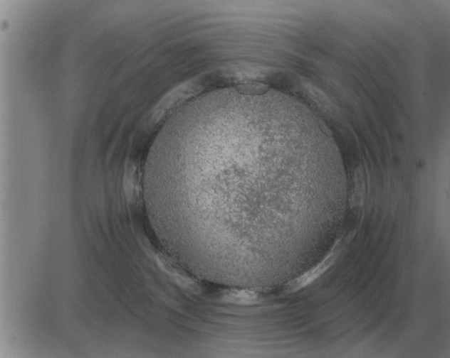 X0000084030140200703022132